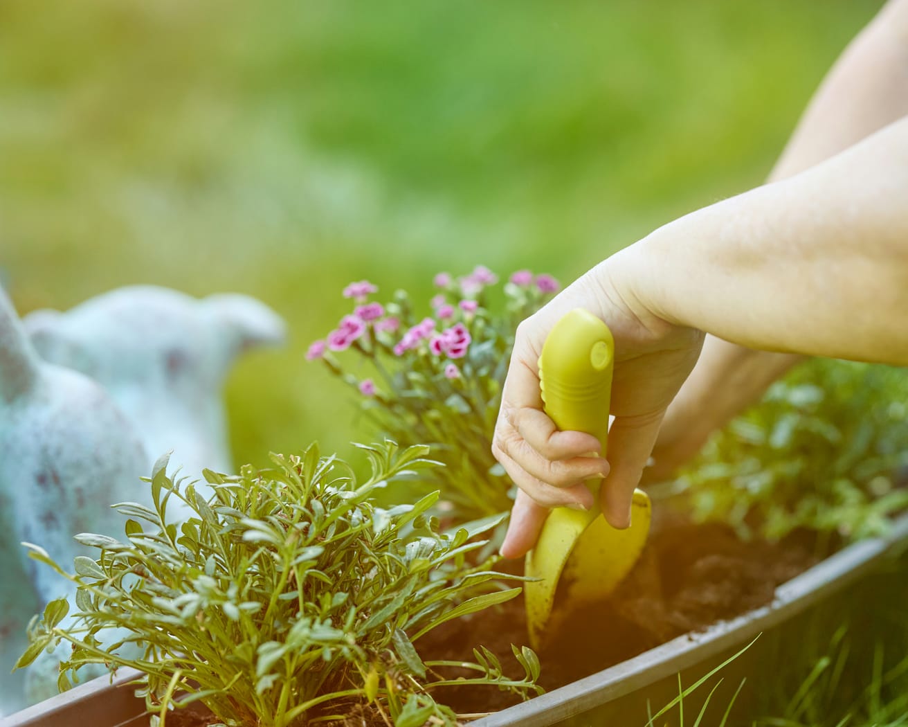 Hender som planter i et bed