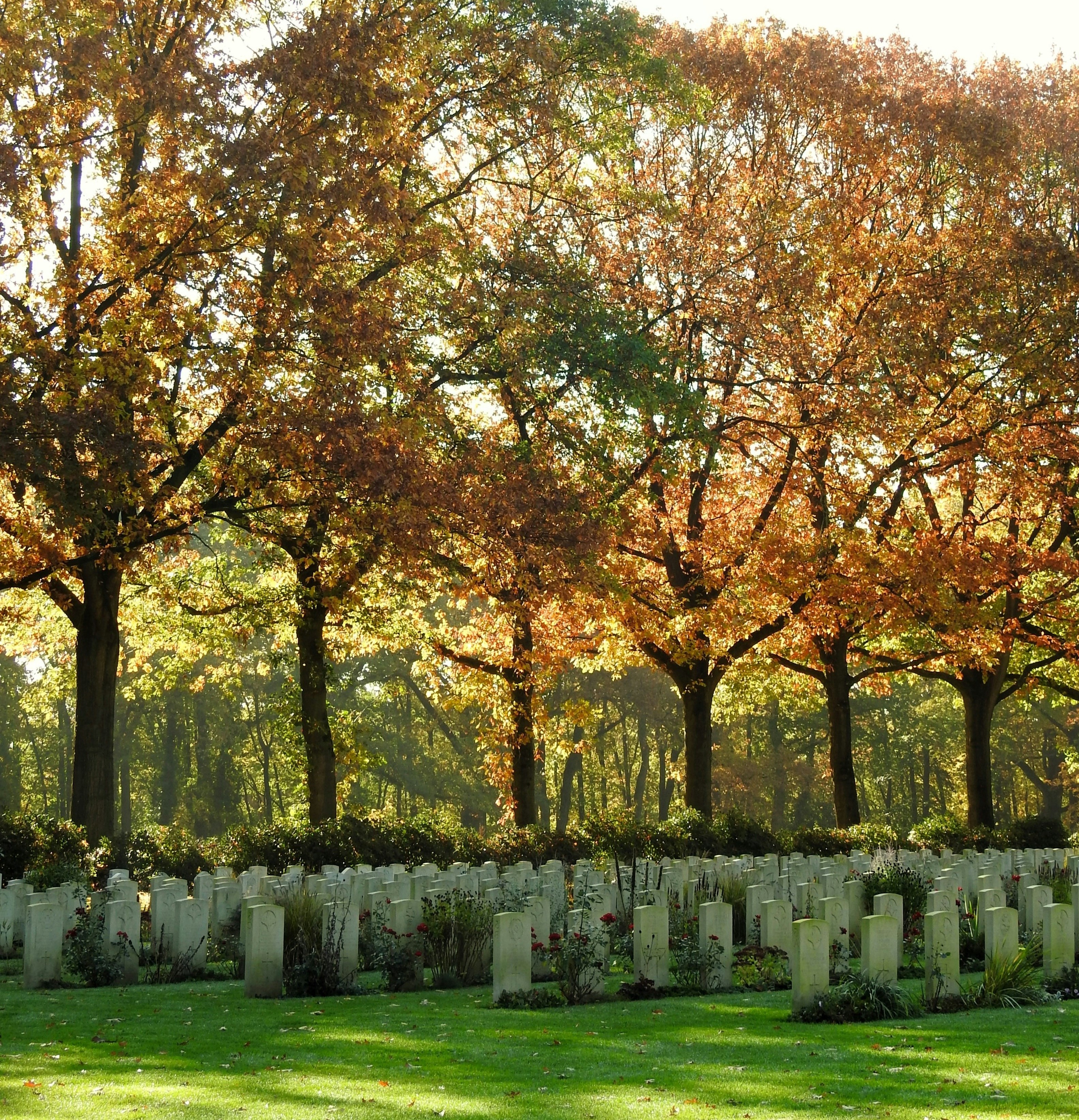 Kirkegård med trær